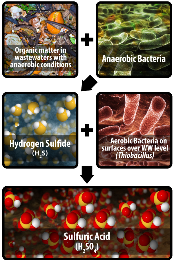 Lifecycle of MIC